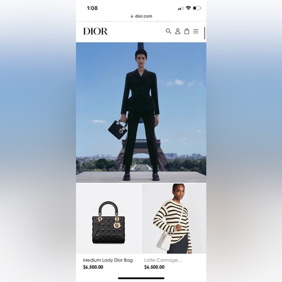 Lady Dior bag ( limited edition) - Picture 12 of 15